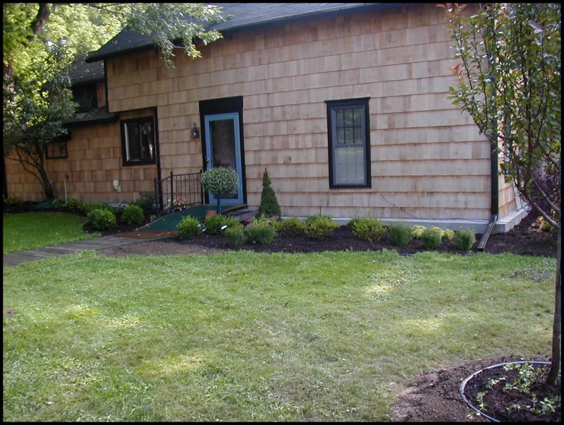 Landscaping Job